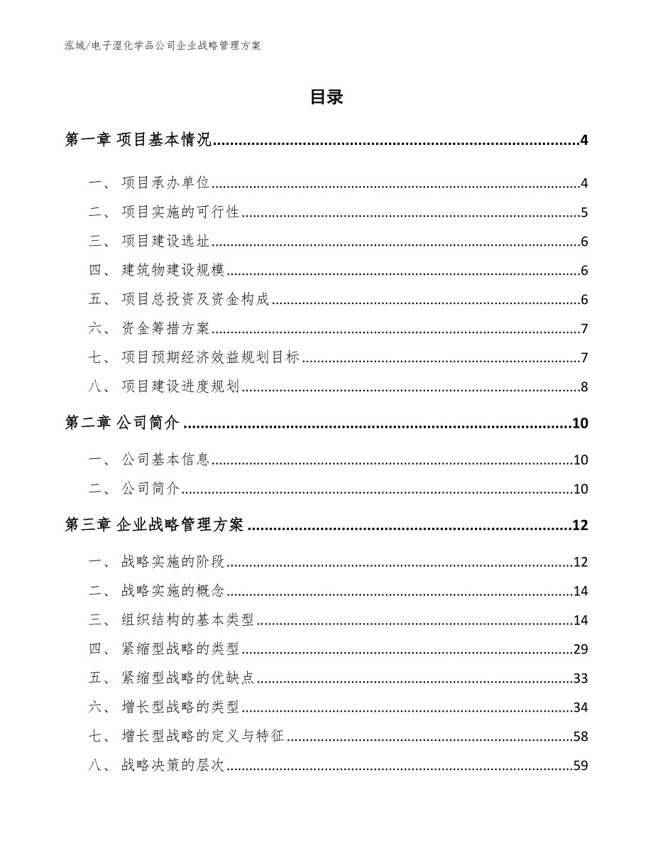 电子湿化学品公司企业战略管理方案（范文）_第2页