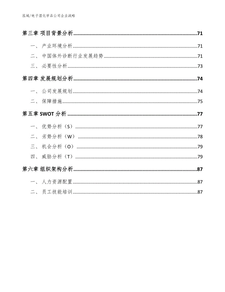 电子湿化学品公司企业战略_参考_第2页