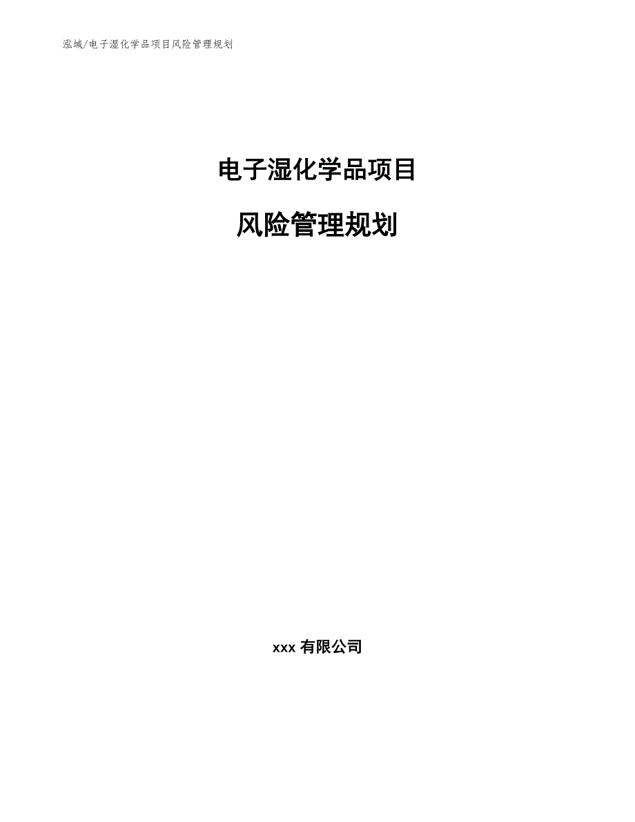 电子湿化学品项目风险管理规划（范文）_第1页