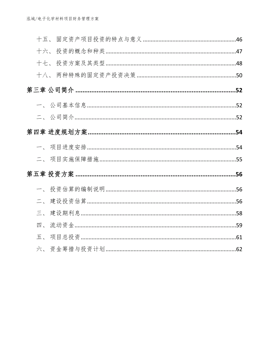 电子化学材料项目财务管理方案（参考）_第2页