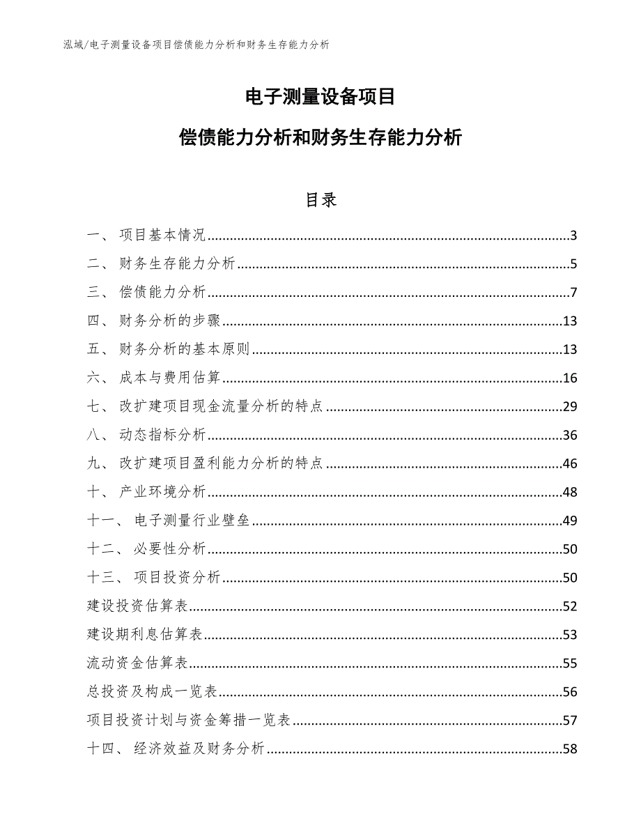 电子测量设备项目偿债能力分析和财务生存能力分析_参考_第1页