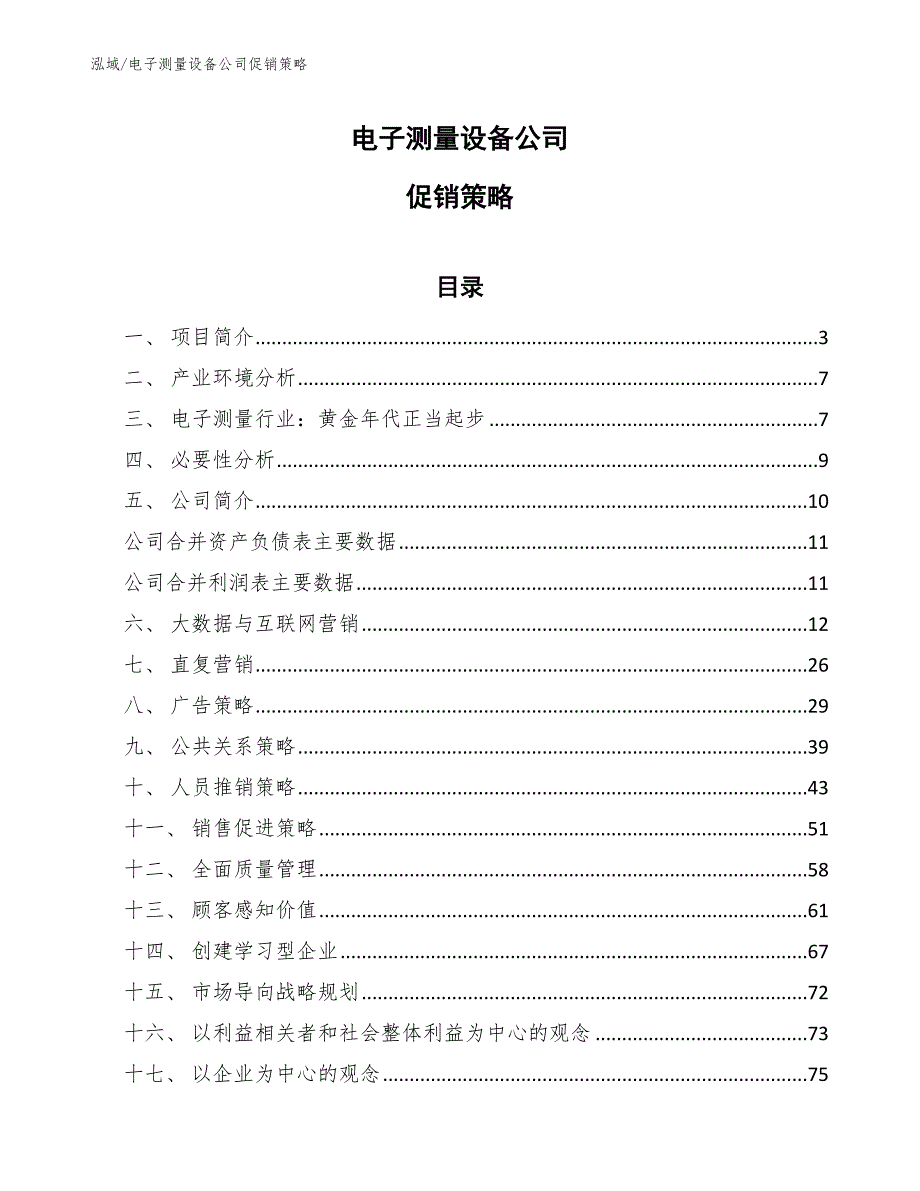 电子测量设备公司促销策略_第1页