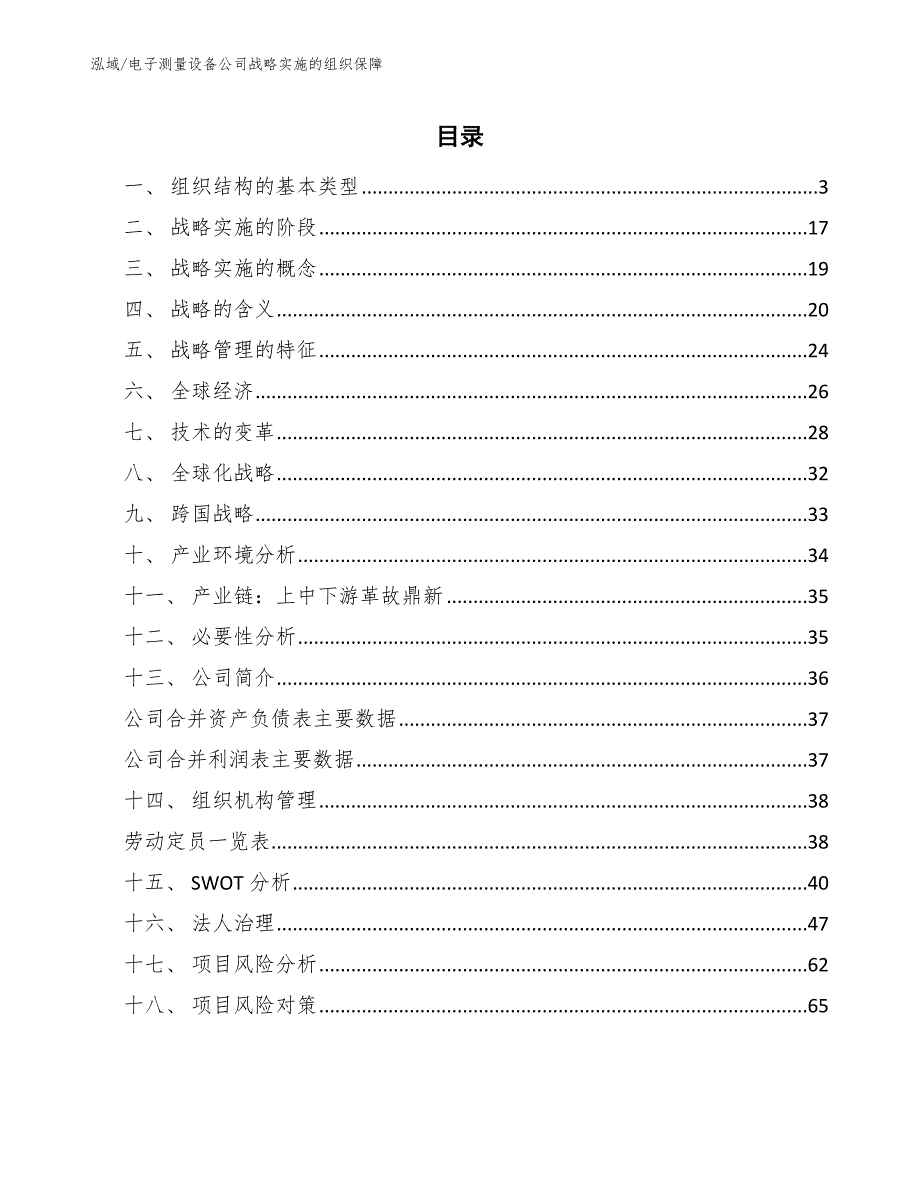 电子测量设备公司战略实施的组织保障（参考）_第2页