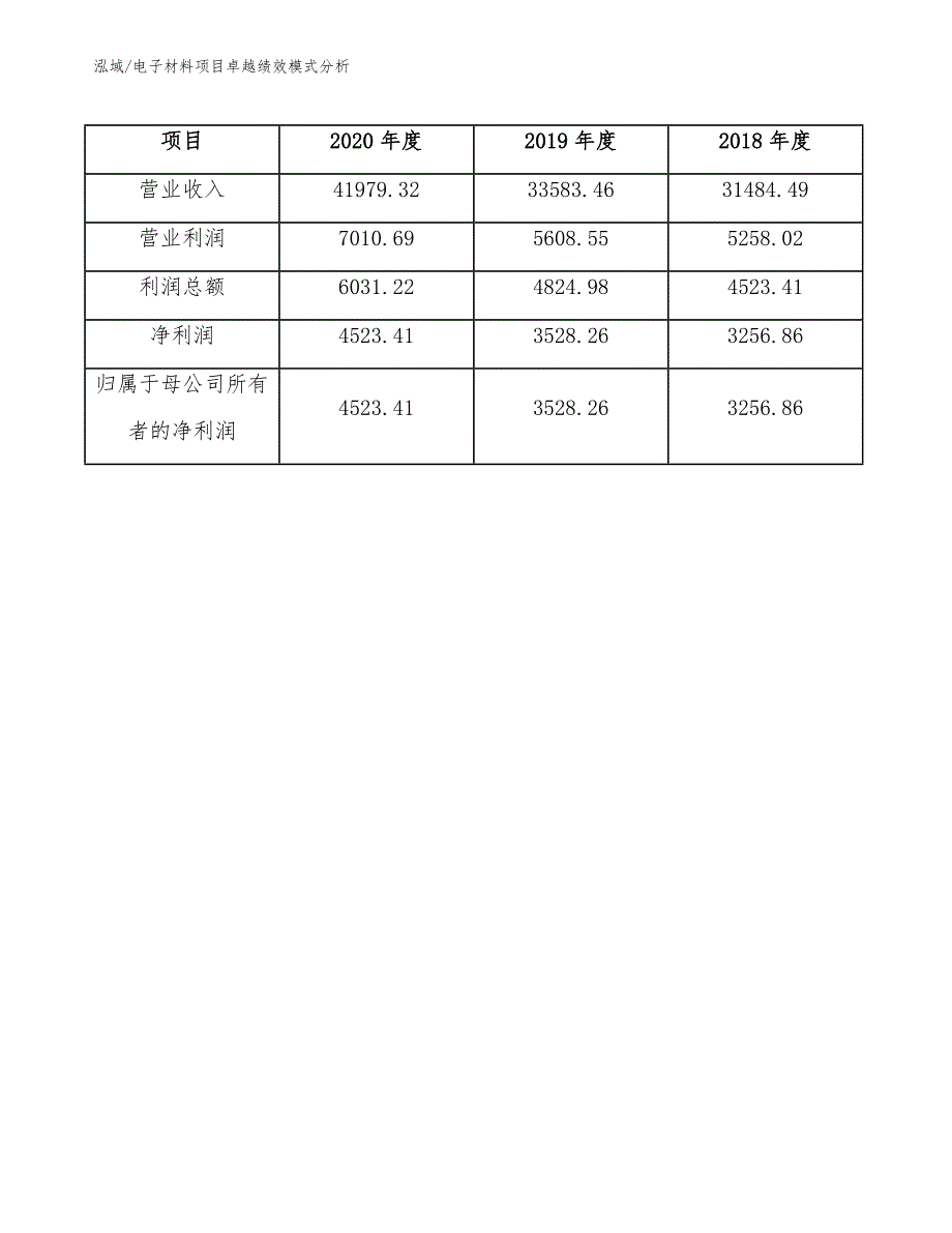 电子材料项目卓越绩效模式分析（参考）_第4页