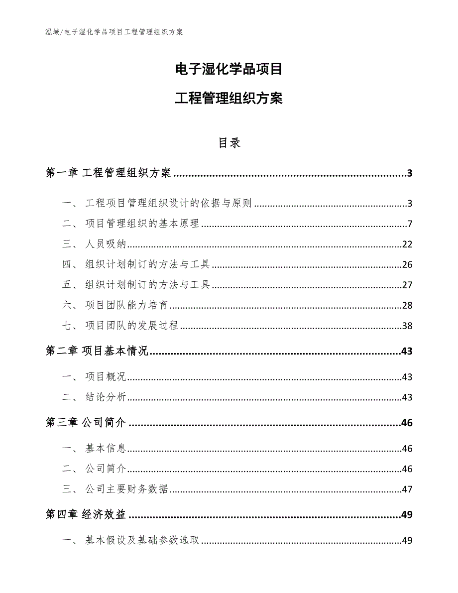 电子湿化学品项目工程管理组织方案_第1页