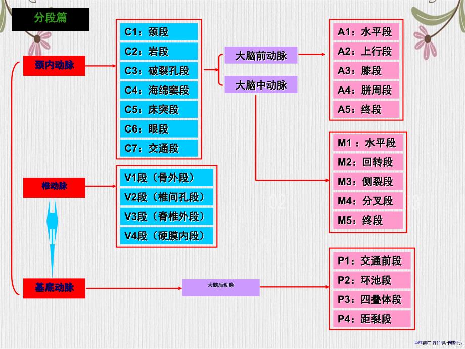 脑部血管解剖图解影像学演示_第2页