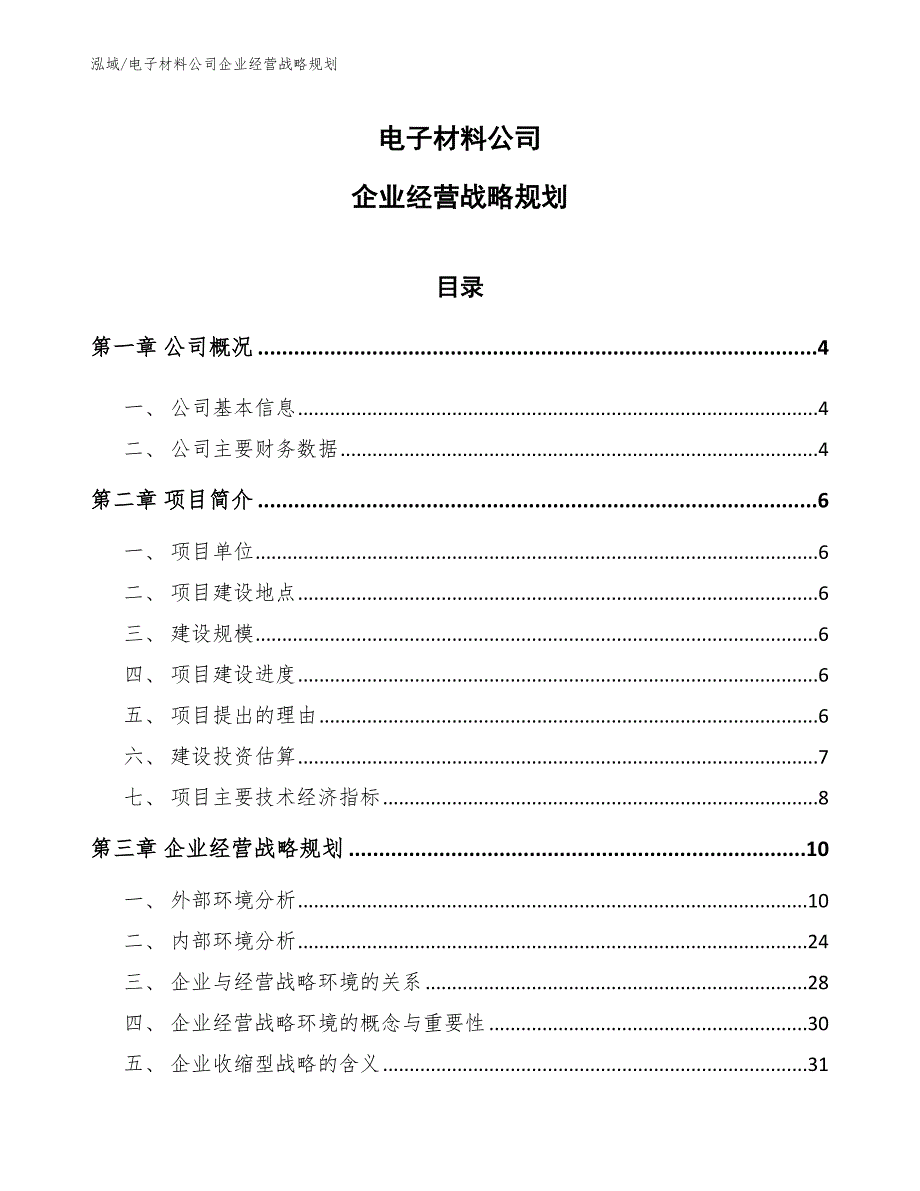 电子材料公司企业经营战略规划_第1页