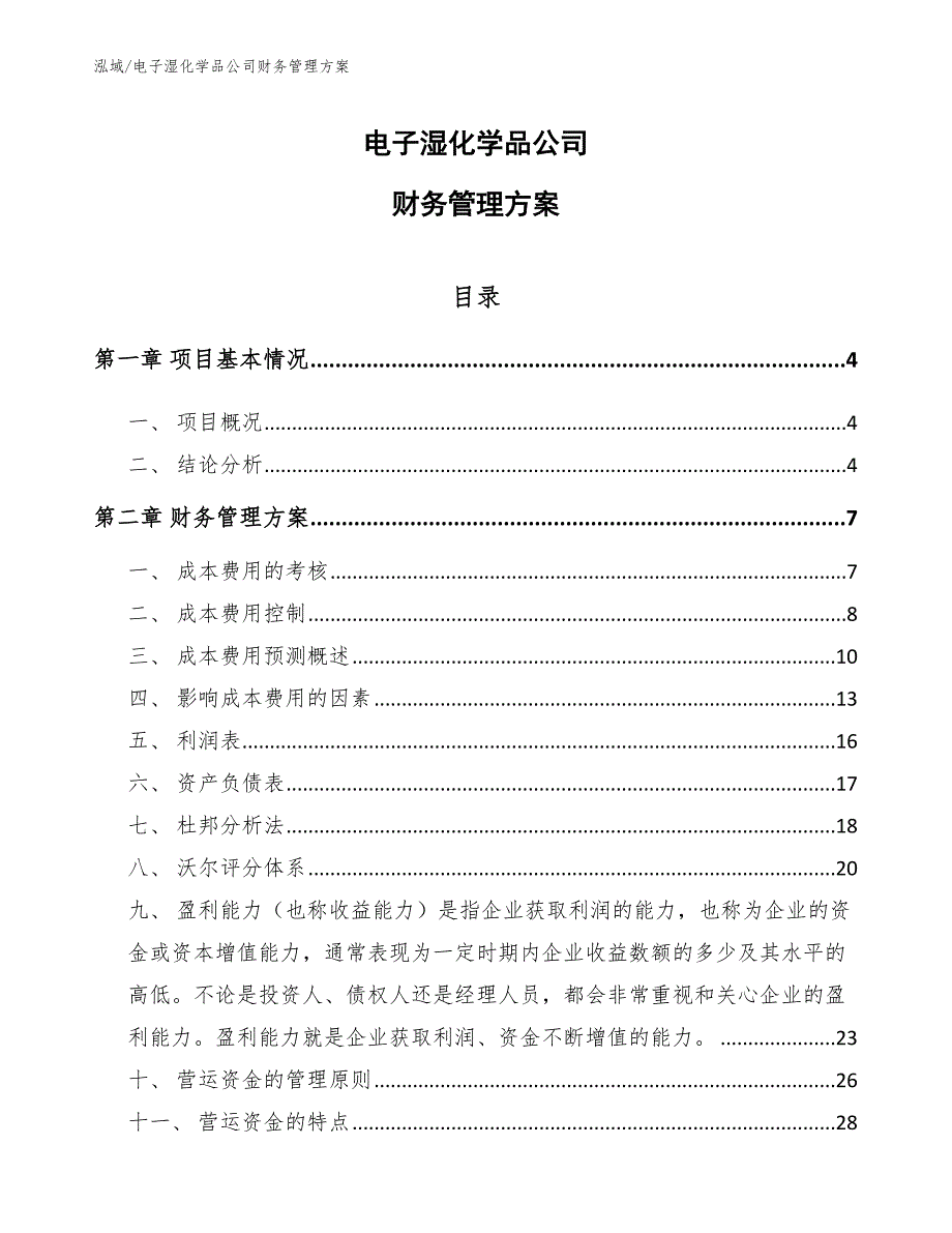 电子湿化学品公司财务管理方案_第1页