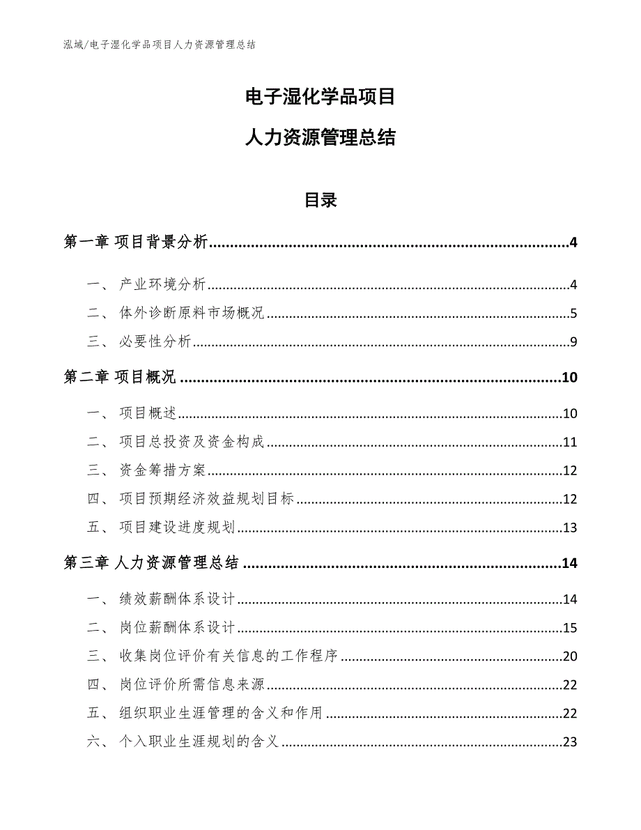 电子湿化学品项目人力资源管理总结_第1页