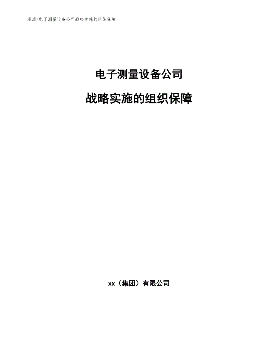 电子测量设备公司战略实施的组织保障【参考】_第1页