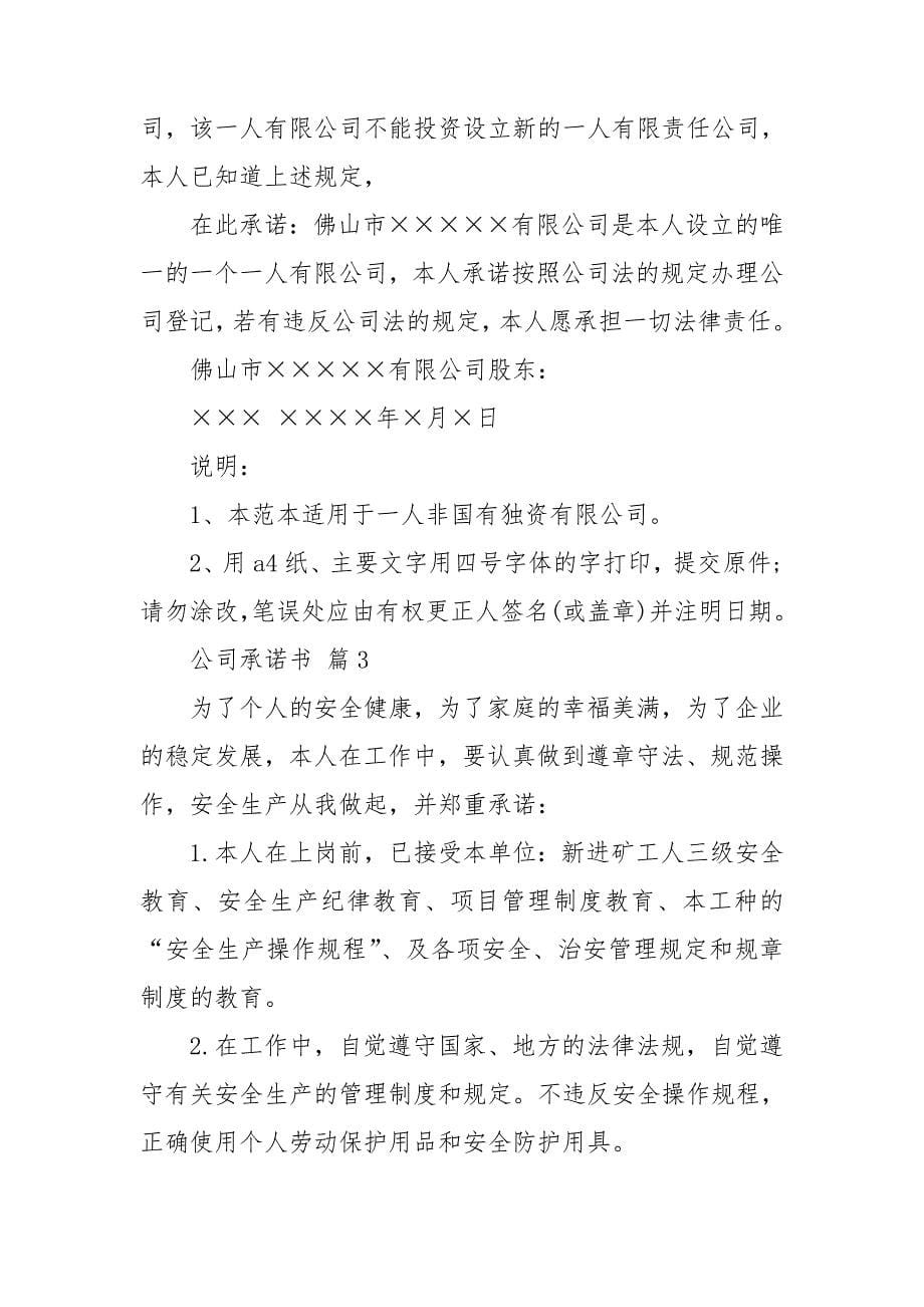 实用的公司承诺书模板集合六篇_第5页