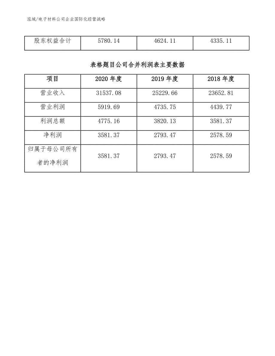 电子材料公司企业国际化经营战略_第5页