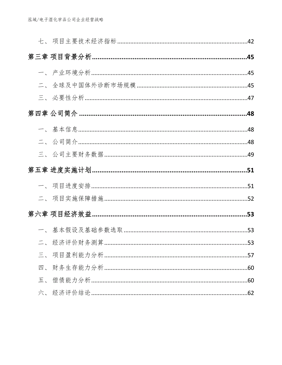 电子湿化学品公司企业经营战略（参考）_第2页