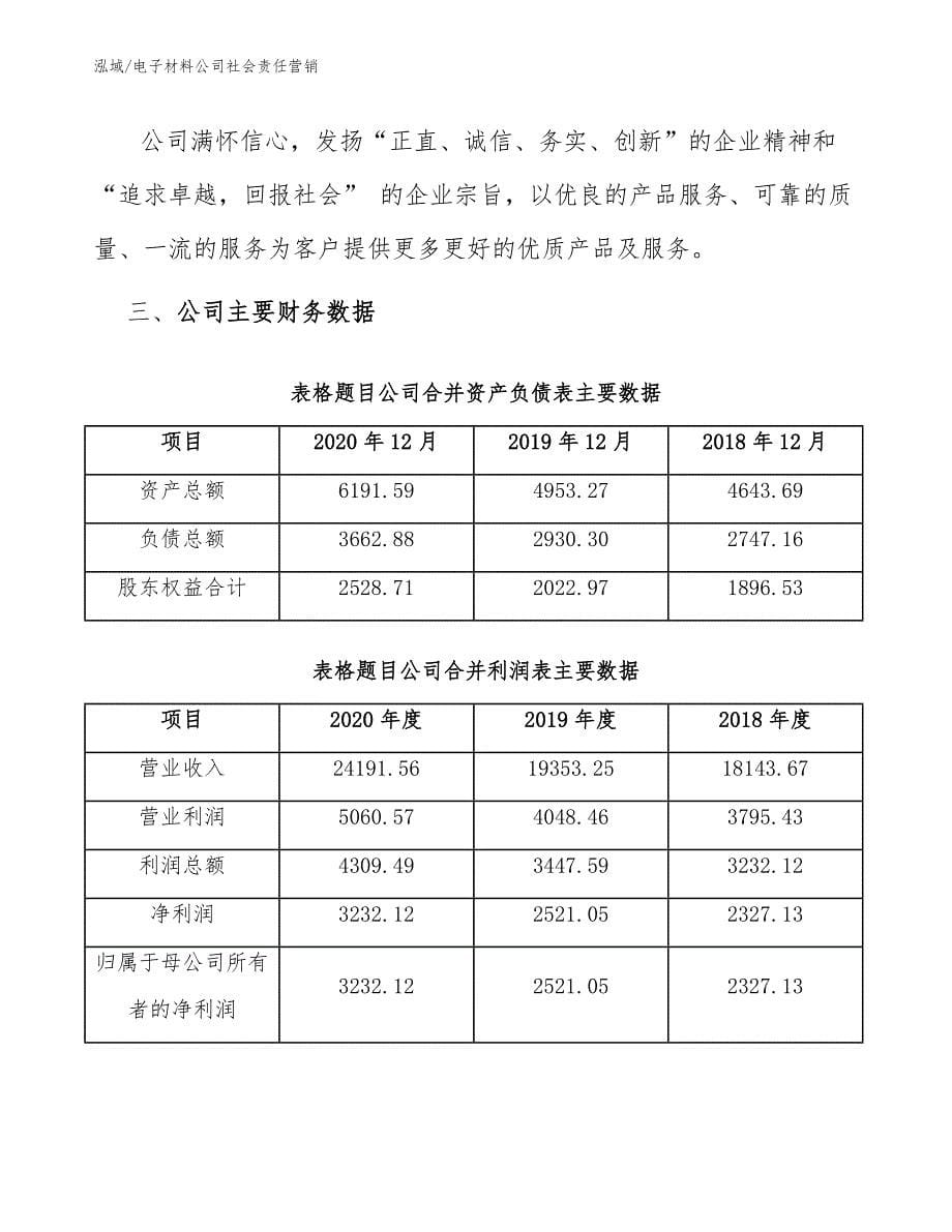 电子材料公司社会责任营销【参考】_第5页