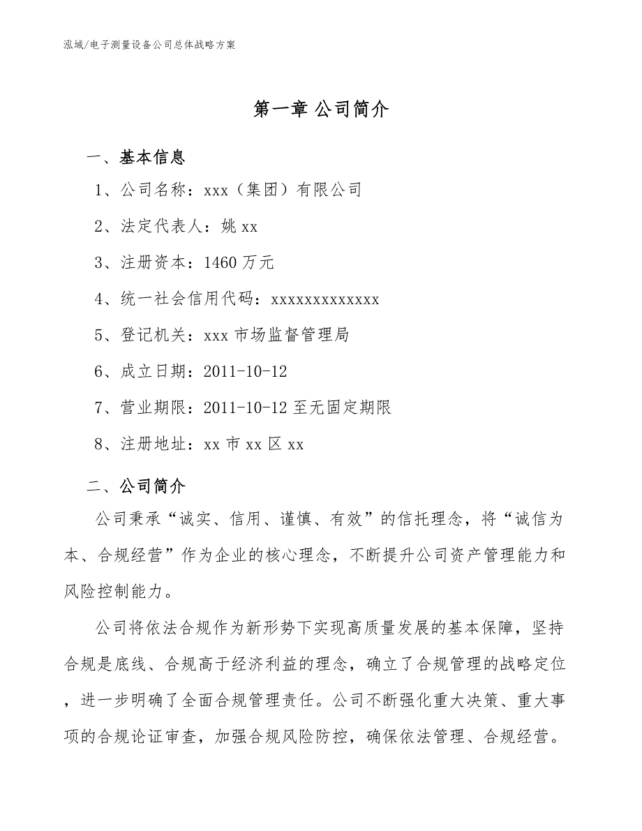 电子测量设备公司总体战略方案（范文）_第4页