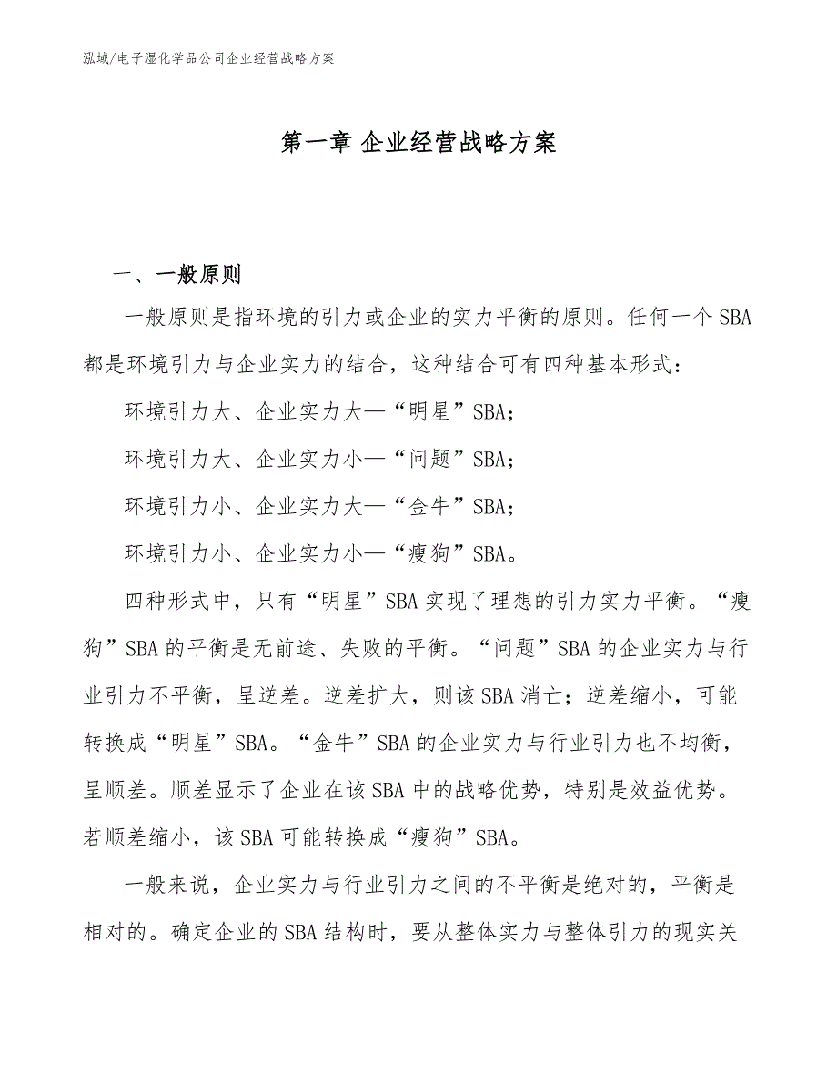 电子湿化学品公司企业经营战略方案_第4页