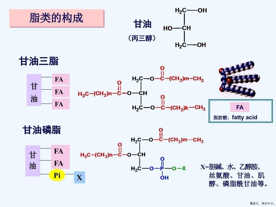 脂代谢临黄刚_第5页