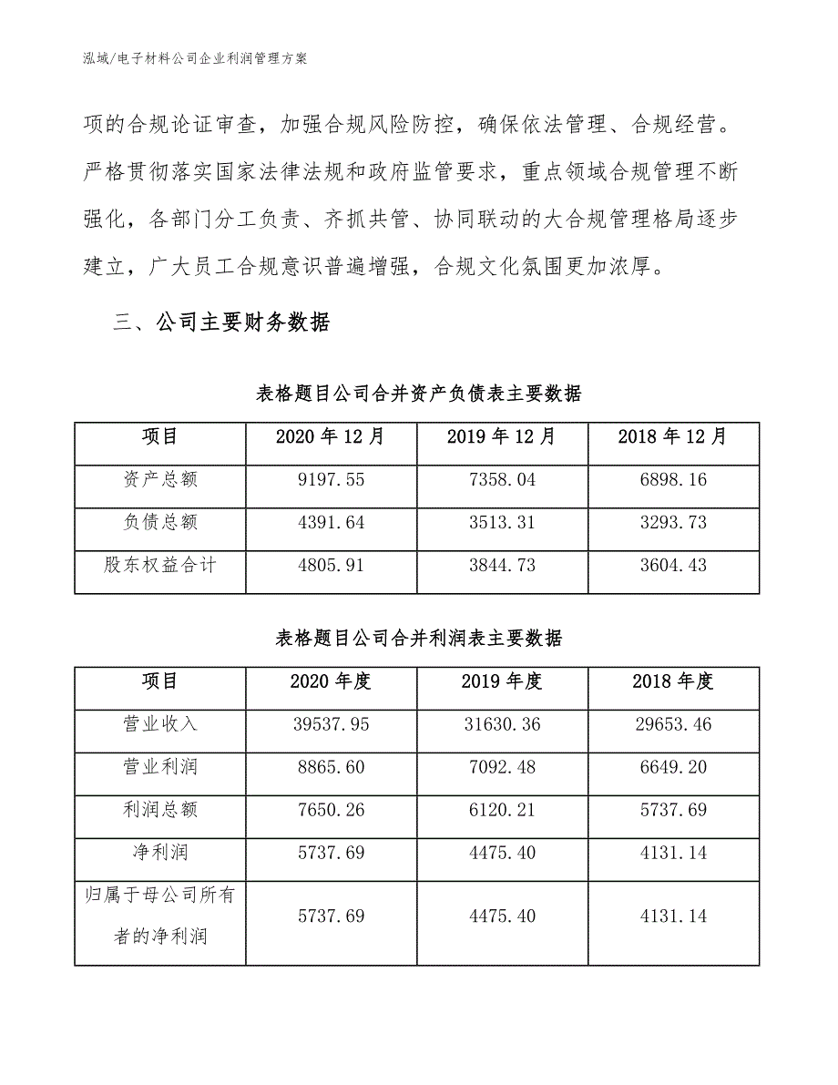 电子材料公司企业利润管理方案_第4页