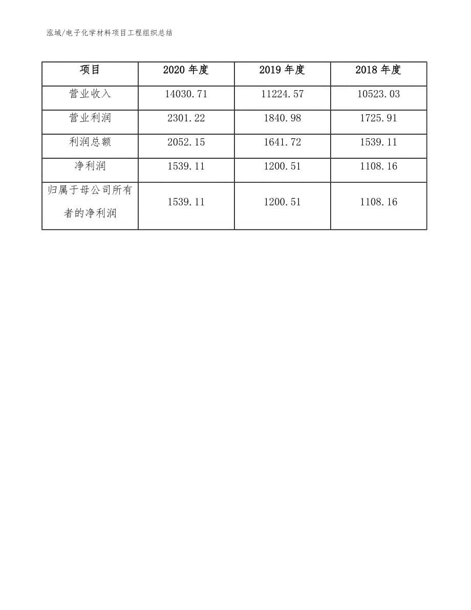 电子化学材料项目工程组织总结_参考_第5页