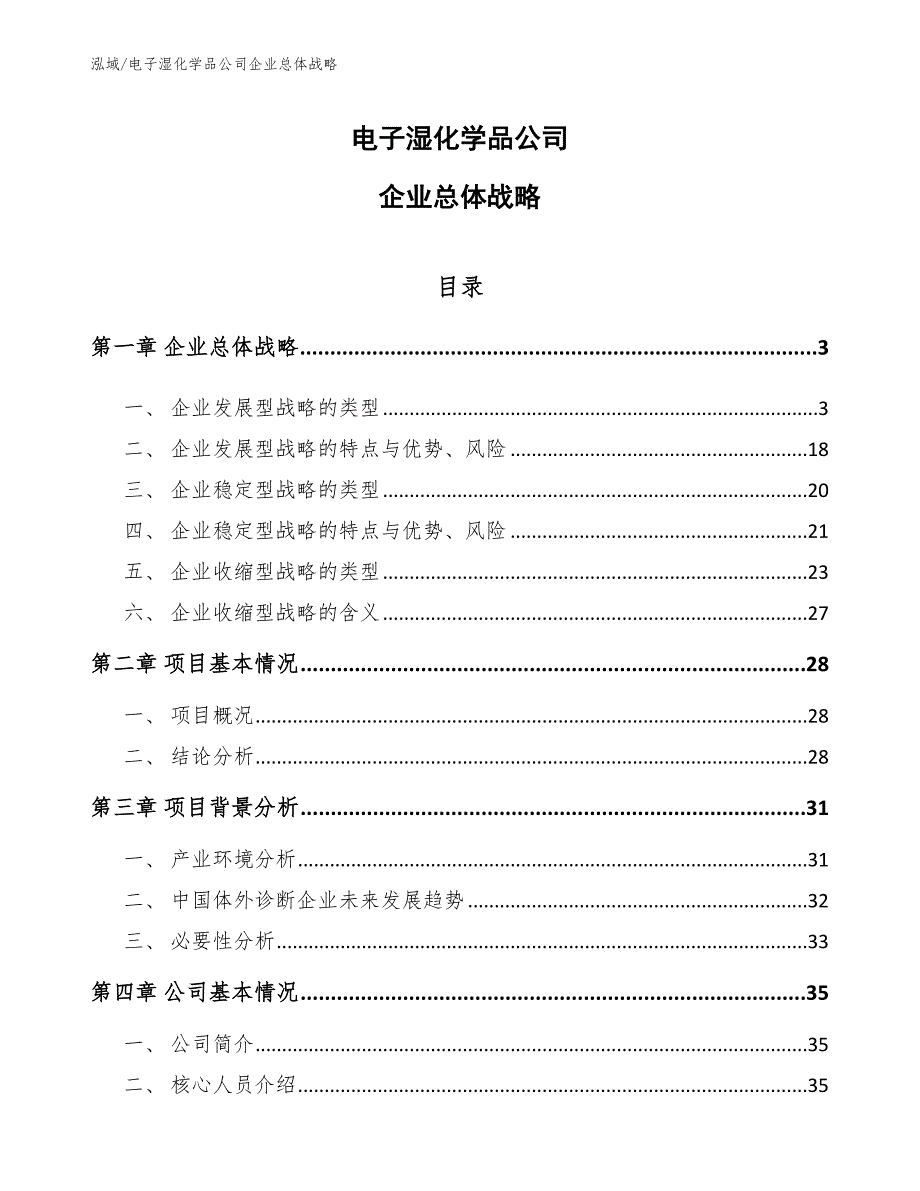 电子湿化学品公司企业总体战略（参考）_第1页