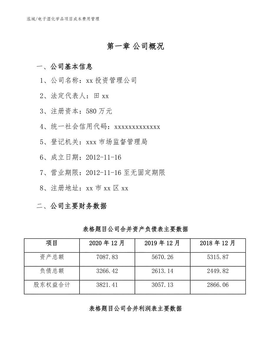 电子湿化学品项目成本费用管理_第5页