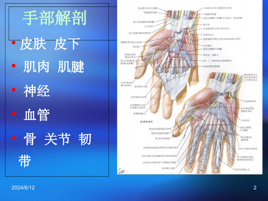 手外伤优秀ppt课件_第2页