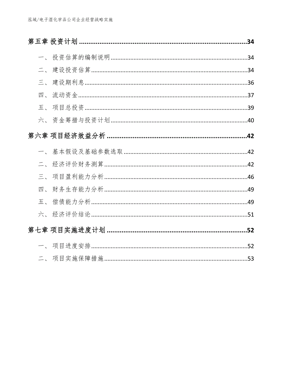 电子湿化学品公司企业经营战略实施_参考_第3页