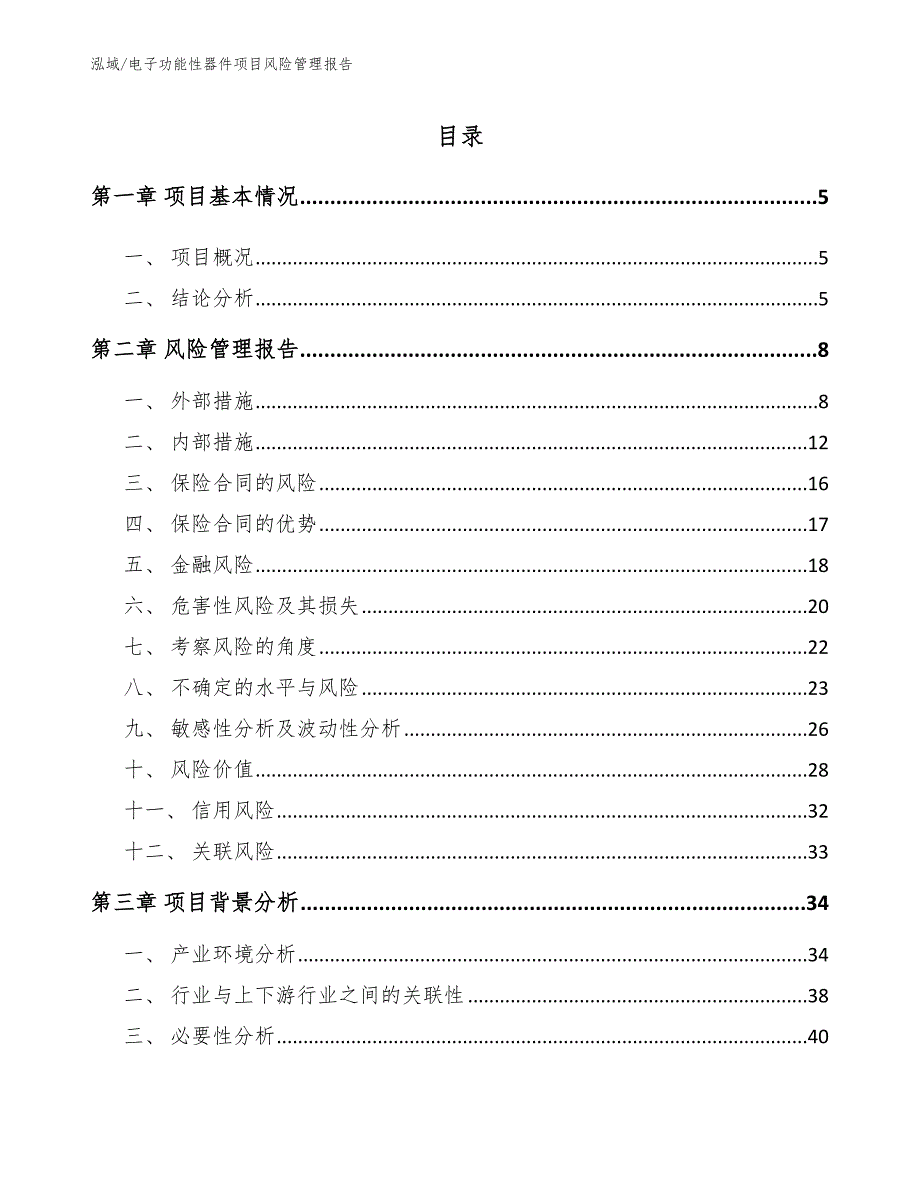 电子功能性器件项目风险管理报告（参考）_第2页