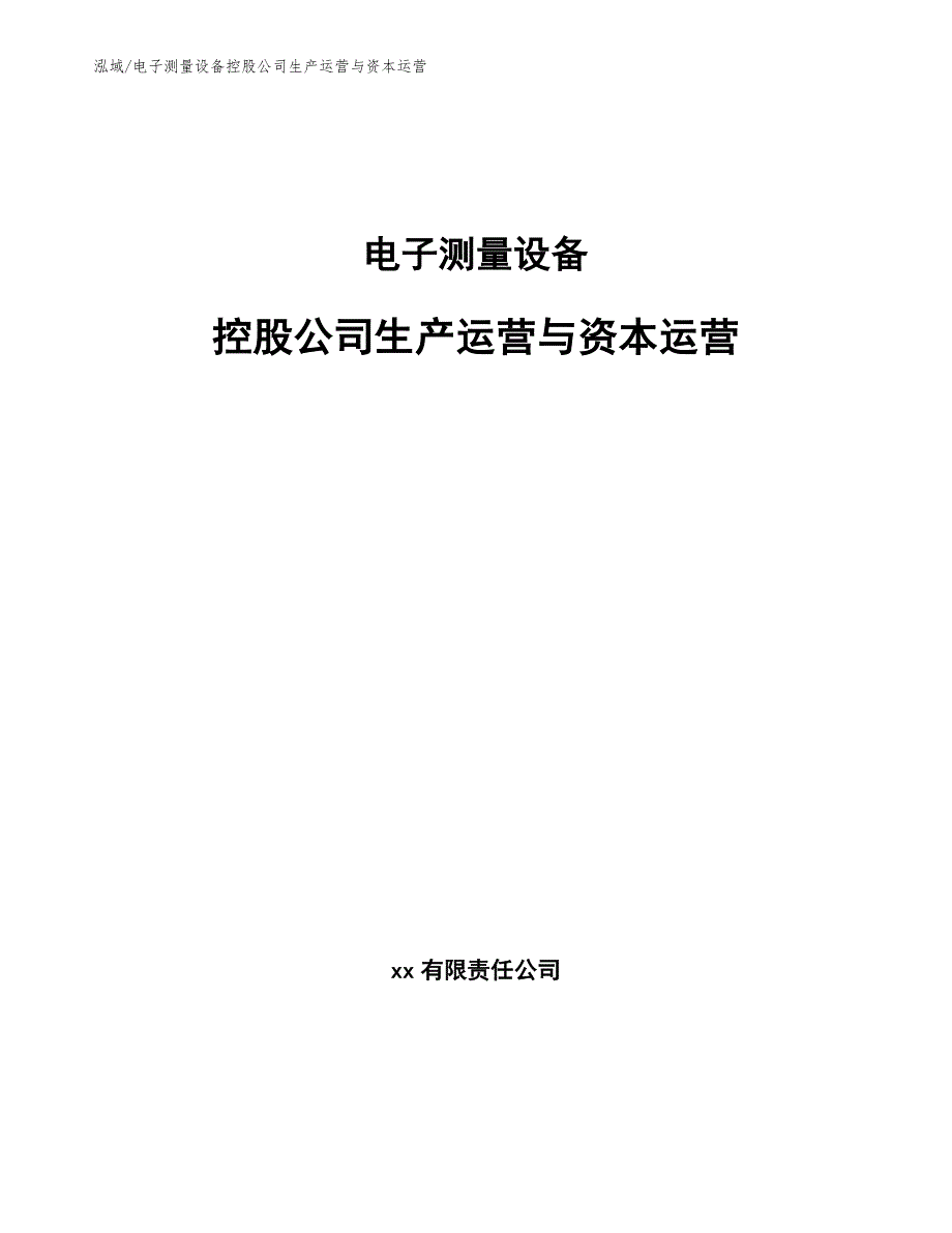 电子测量设备控股公司生产运营与资本运营（范文）_第1页