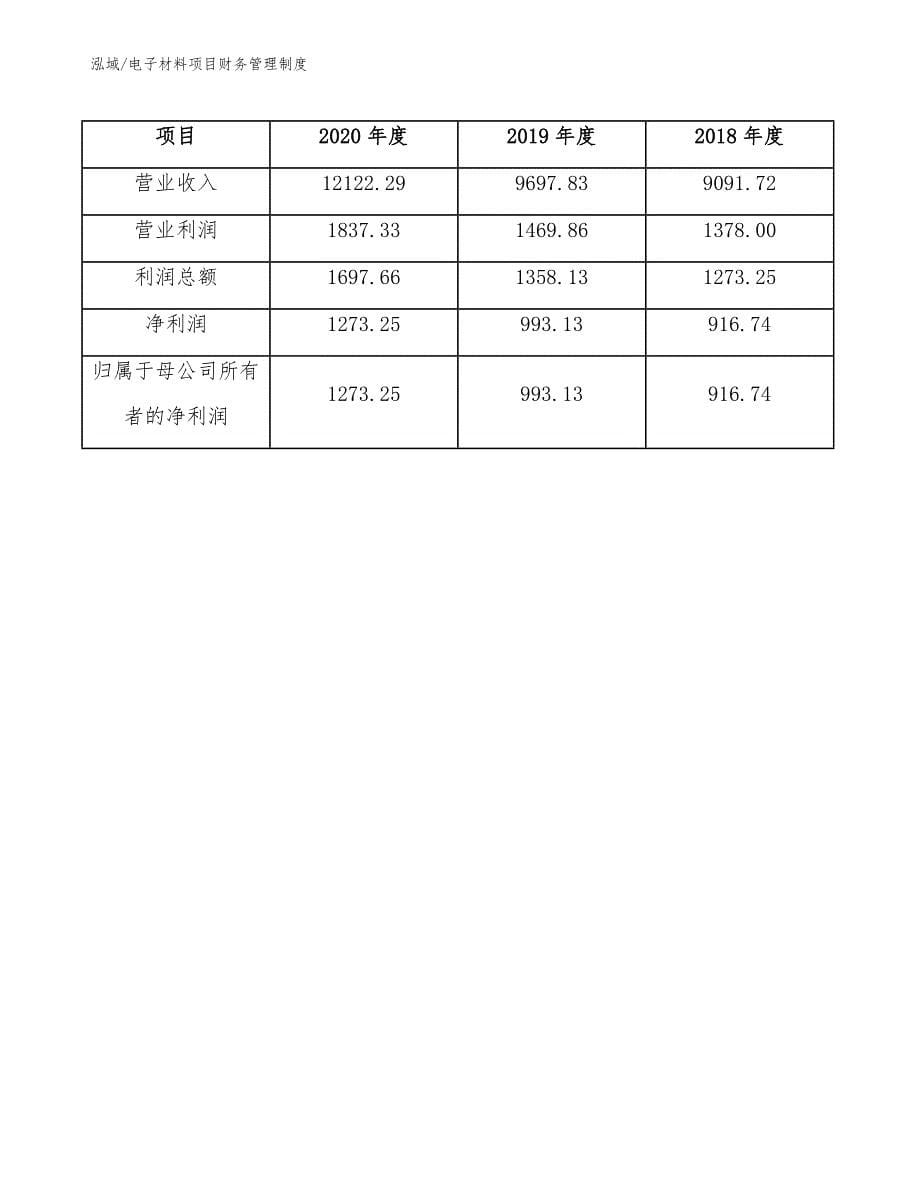 电子材料项目财务管理制度【参考】_第5页