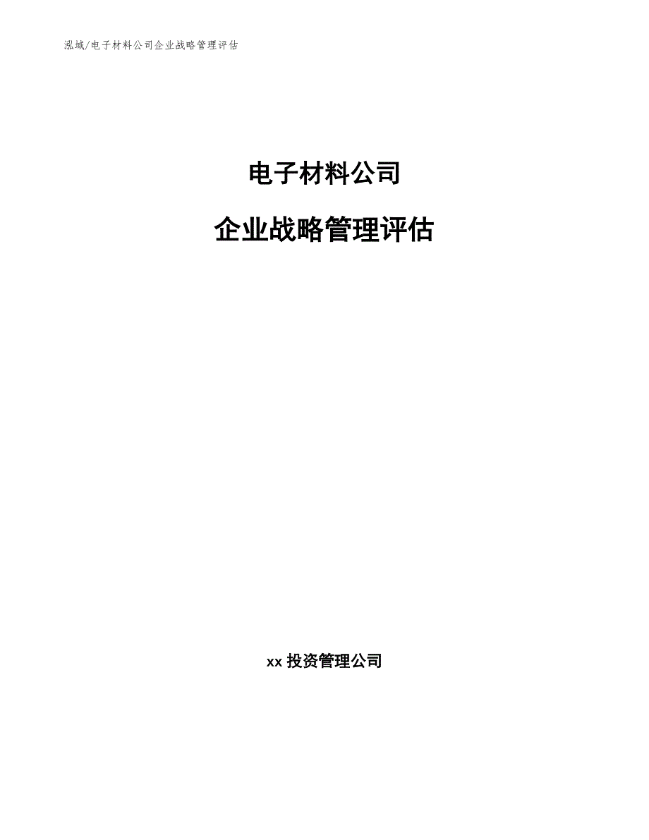 电子材料公司企业战略管理评估（范文）_第1页