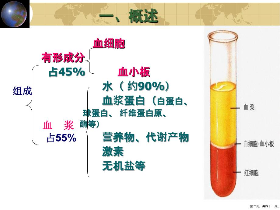 组织学与胚胎学血液课件_第2页