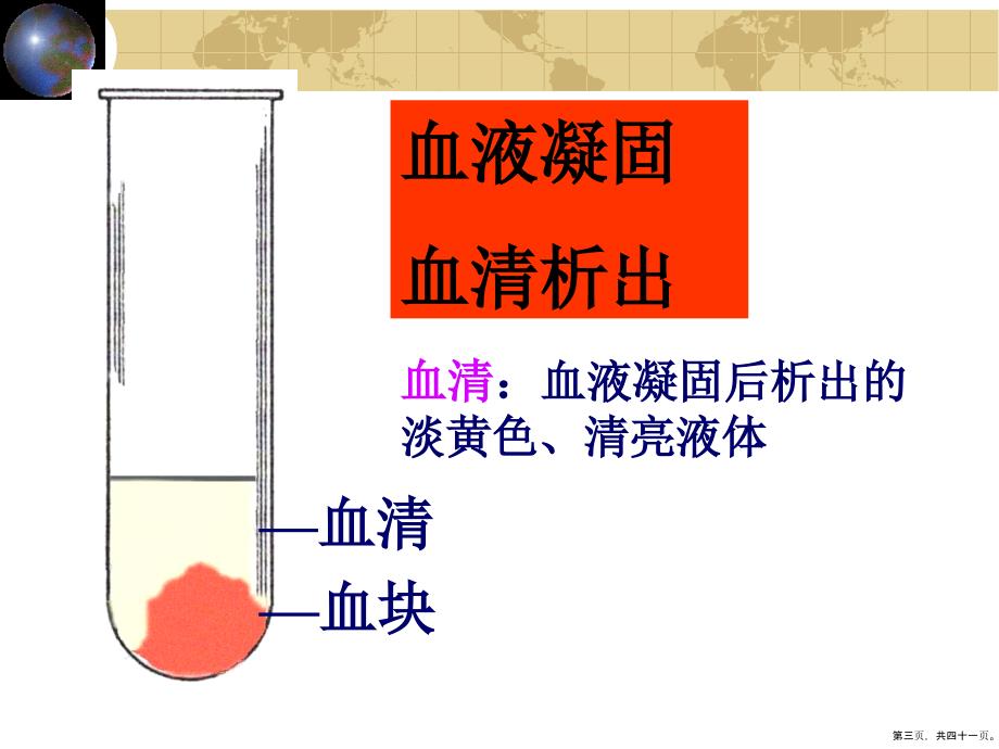 组织学与胚胎学血液课件_第3页