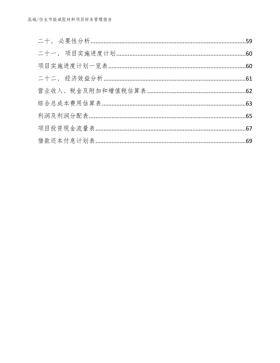 仿生节能减阻材料项目财务管理报告（参考）_第2页