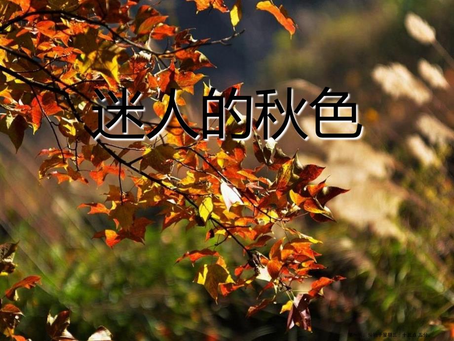 2022春湘教版语文三上《迷人的秋色》ppt课件4_第1页