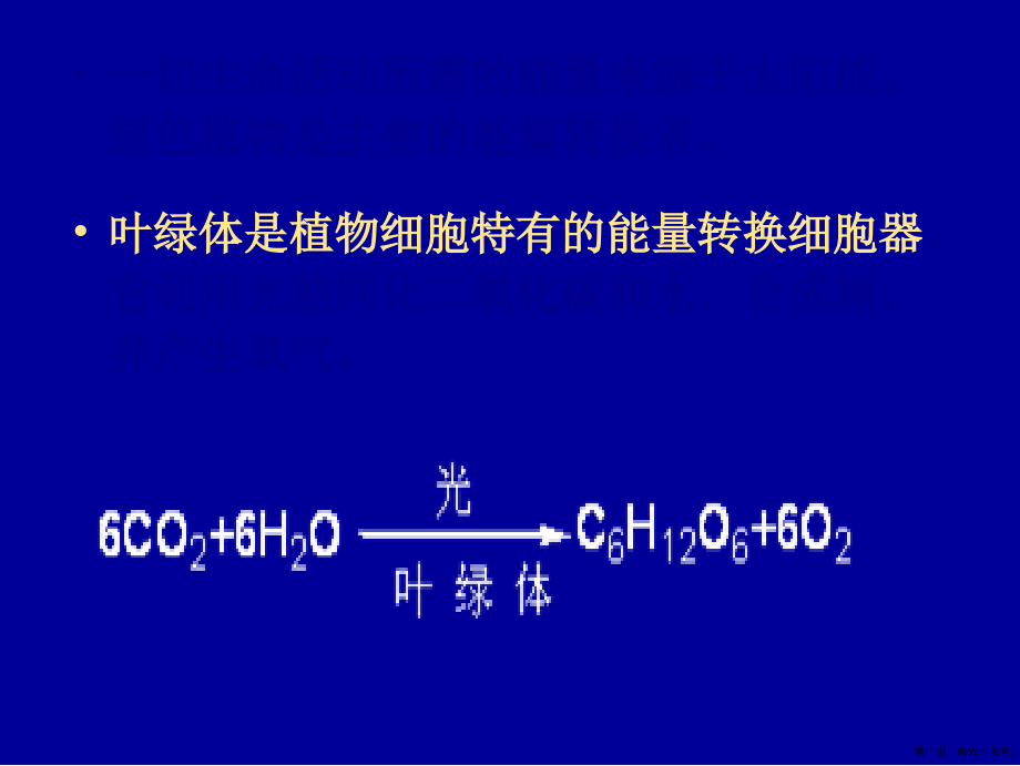 第章物质的能量转换叶绿体_第1页
