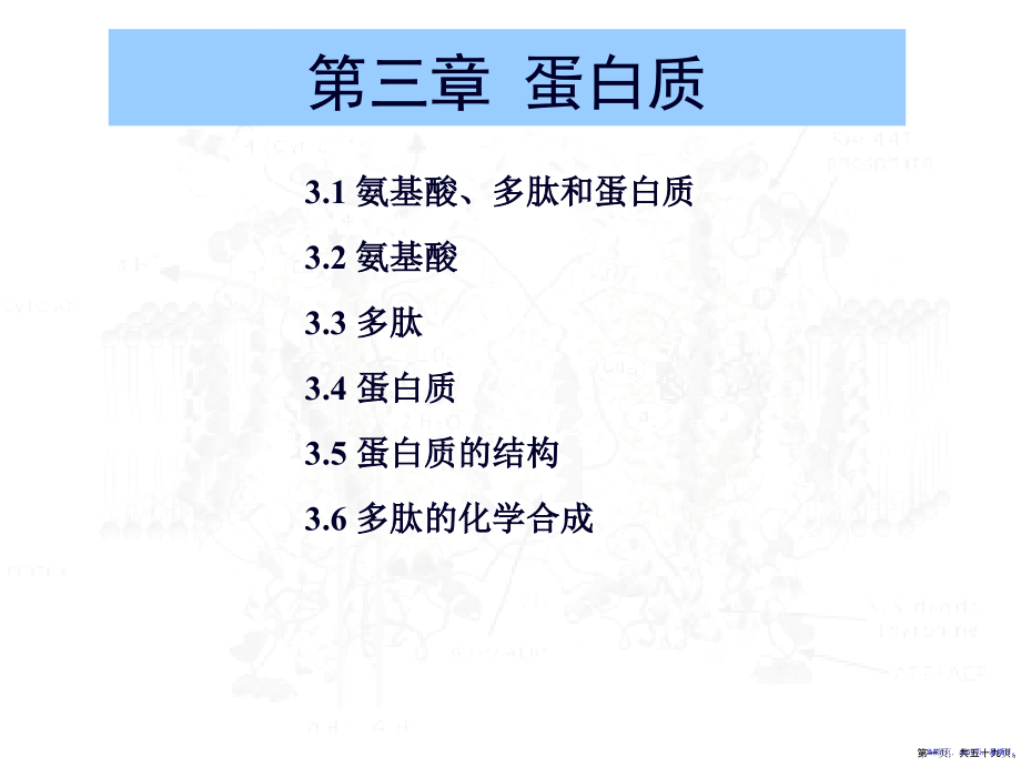 第三章蛋白质56_第1页