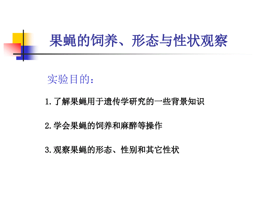 果蝇的饲养与性状观察课件_第1页