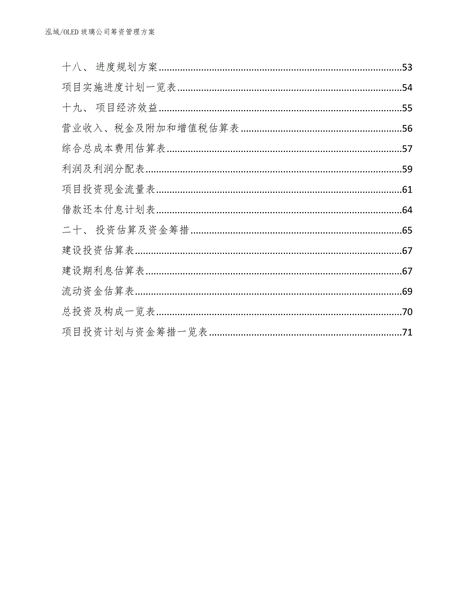 OLED玻璃公司筹资管理方案_范文_第2页