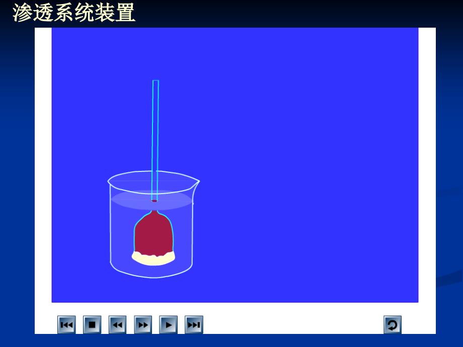 动物细胞与植物细胞(powerpoint 32页)_第2页