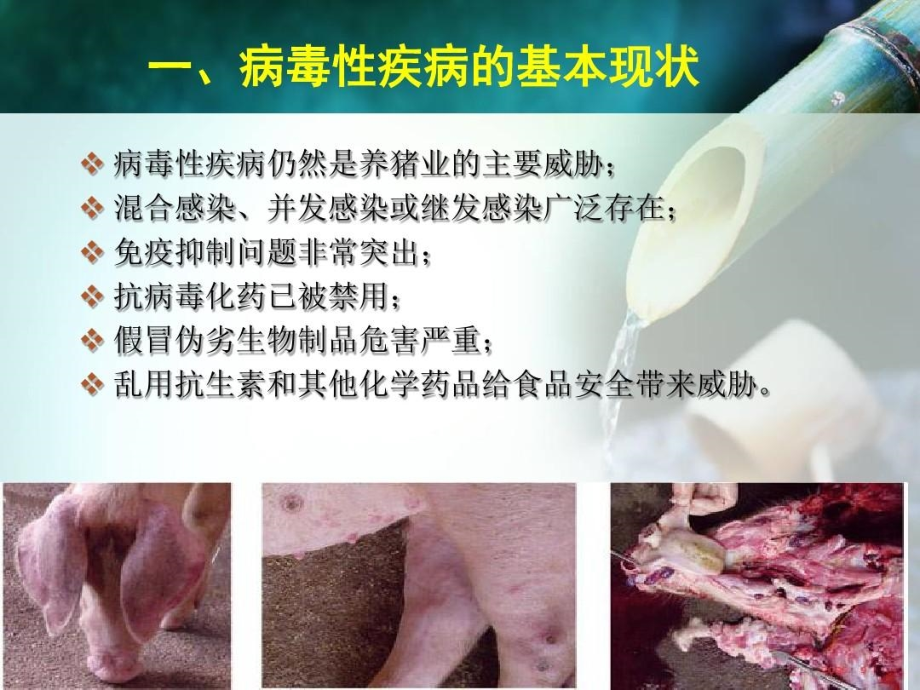 中药防控猪病毒疾病的优势及原理课件_第3页