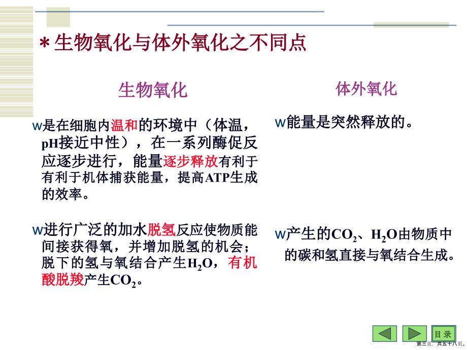 生物氧化经典医学课件_第3页