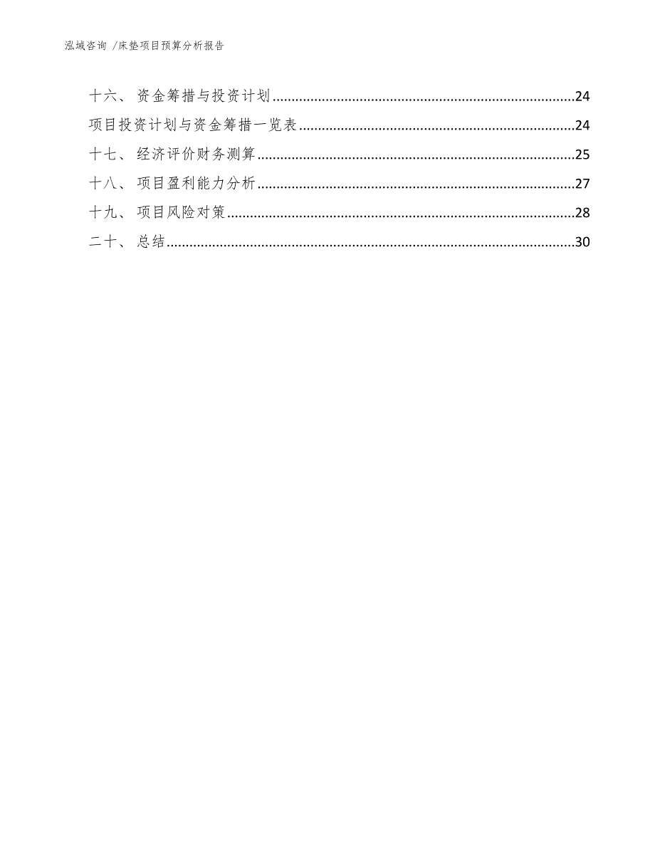 床垫项目预算分析报告【范文模板】_第2页