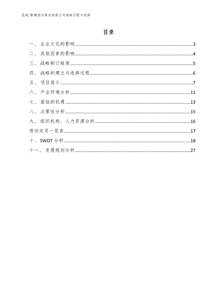 数模混合集成电路公司战略匹配与选择（范文）_第2页