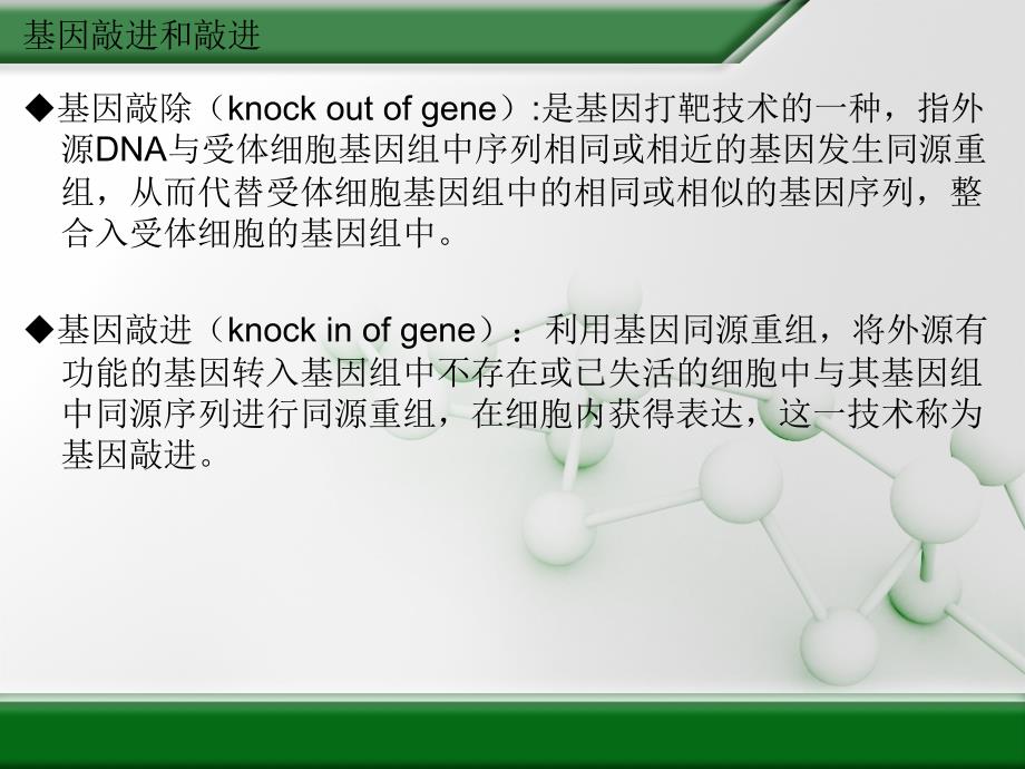 同源重组的应用专题讲义（powerpoint 20页）_第4页