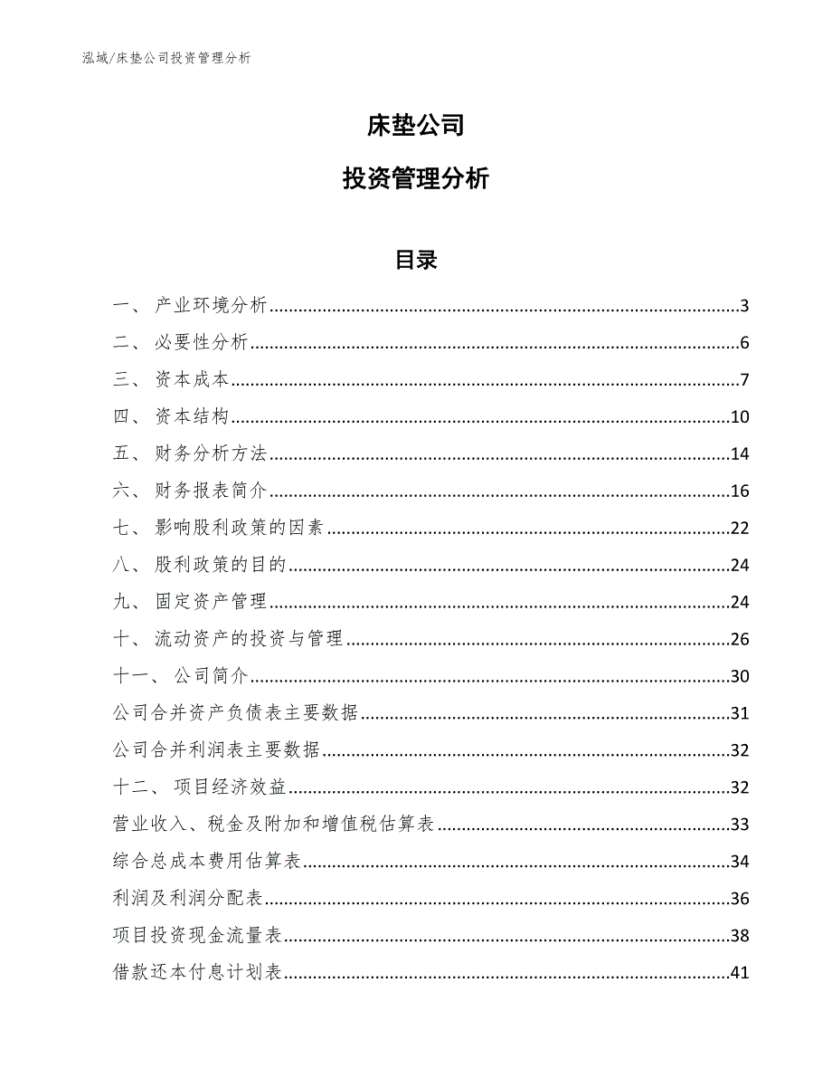 床垫公司投资管理分析_第1页