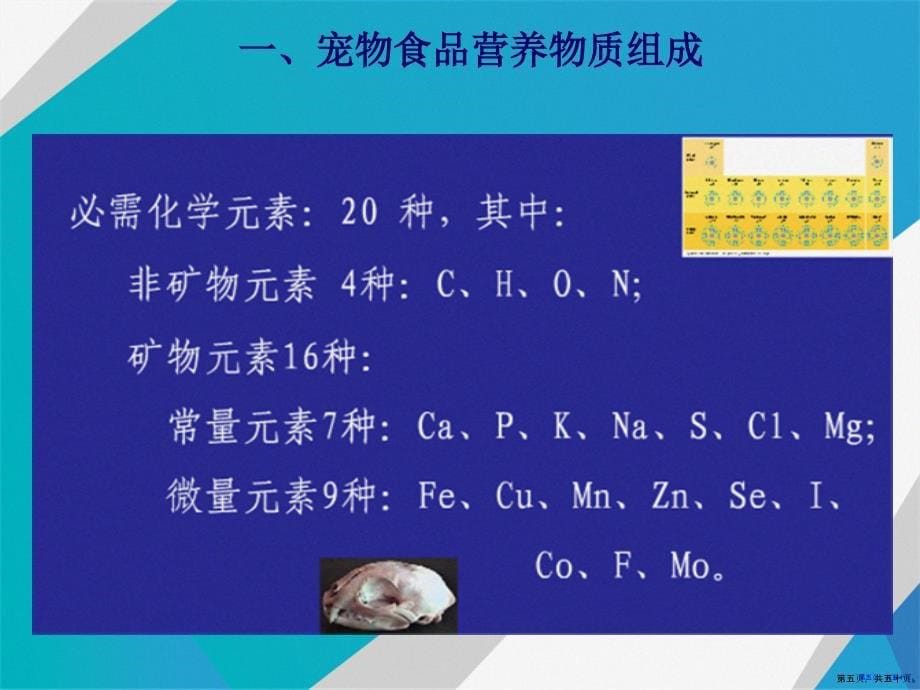 演示文稿宠物营养学基本知识能量与宠物营养_第5页