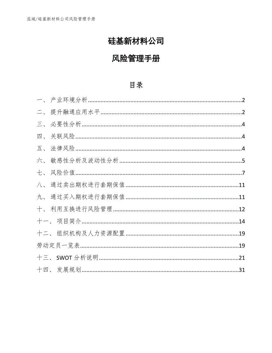 硅基新材料公司风险管理手册（范文）_第1页