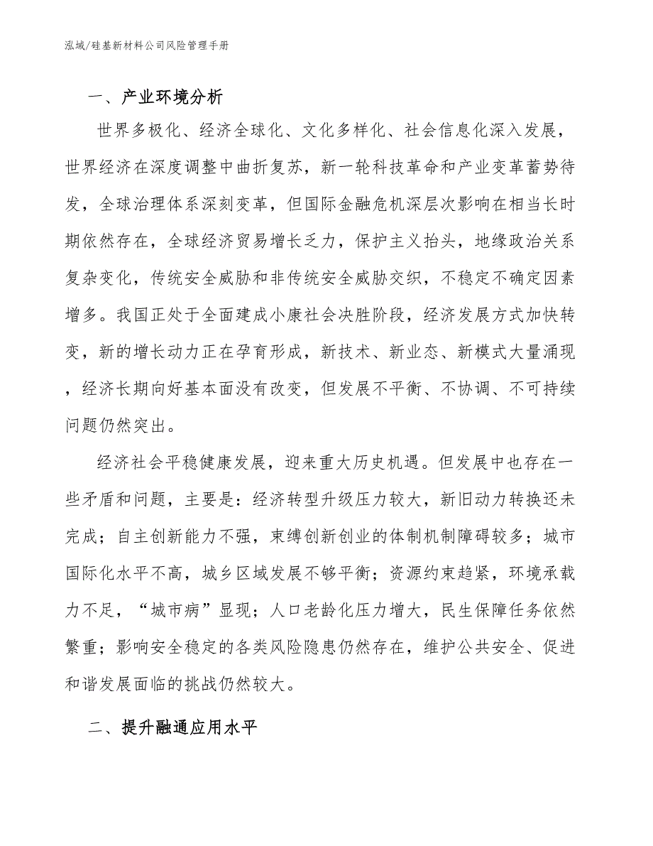 硅基新材料公司风险管理手册（范文）_第2页