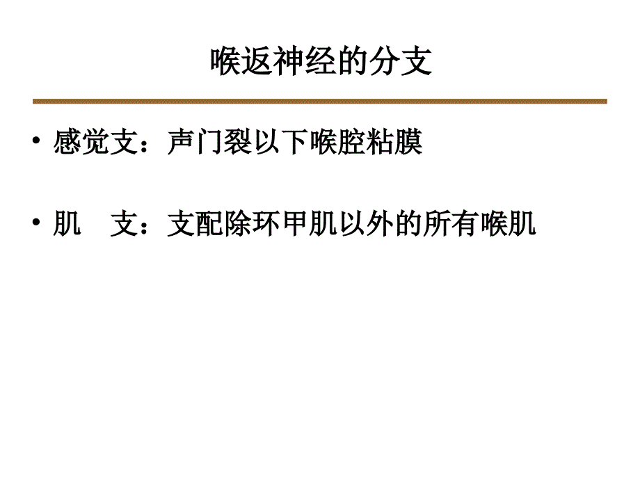 喉返神经解剖技术外科进展课件_第3页